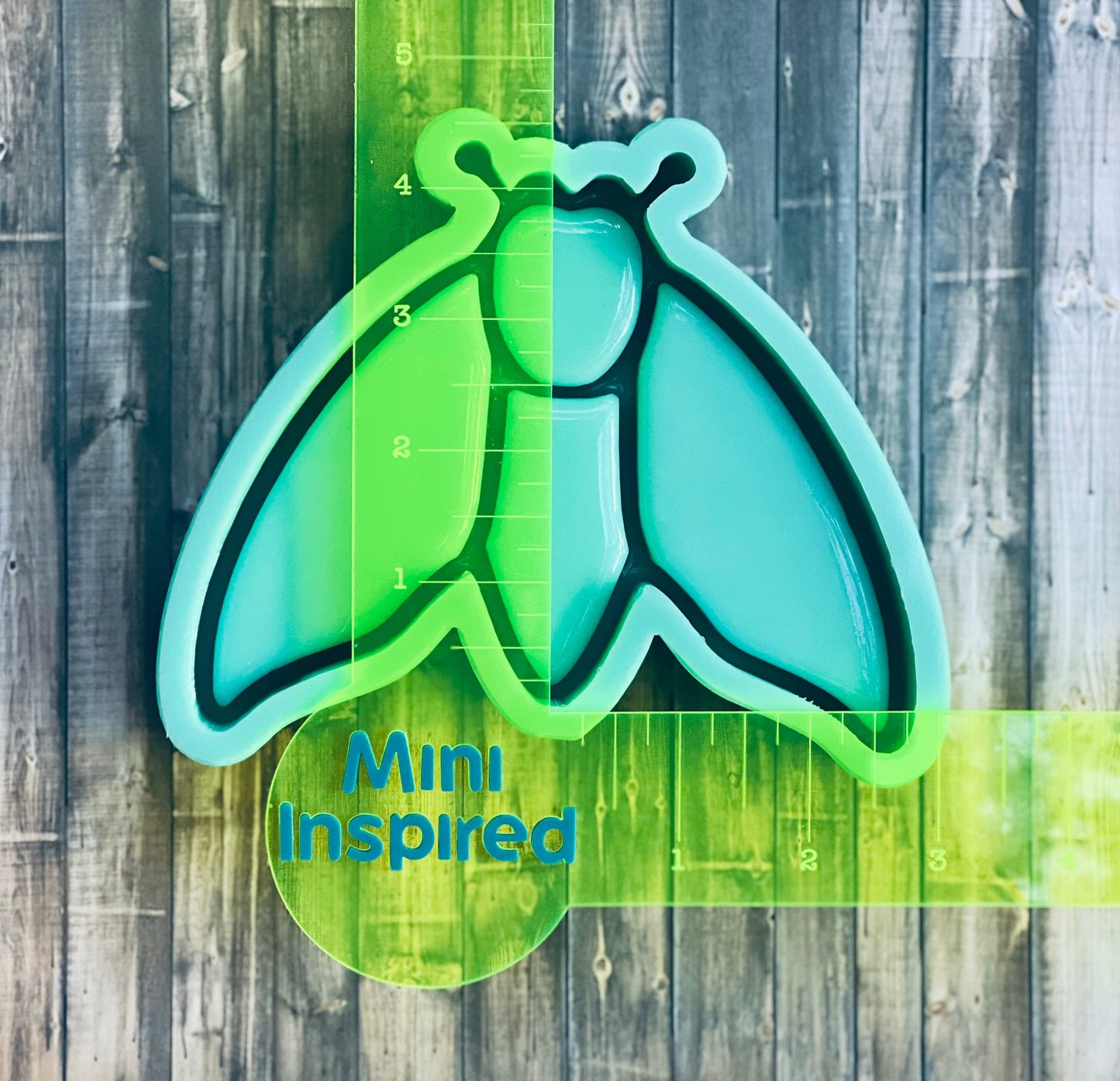 Moth/Fly Shelf Silicone Mold - DIY desk accessories, trinket tray mold