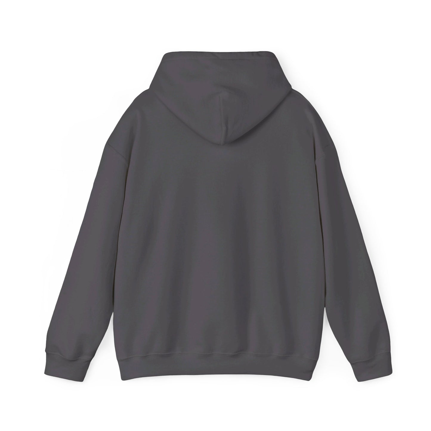 Accountant Halloween Costume  -  Hooded Sweatshirt