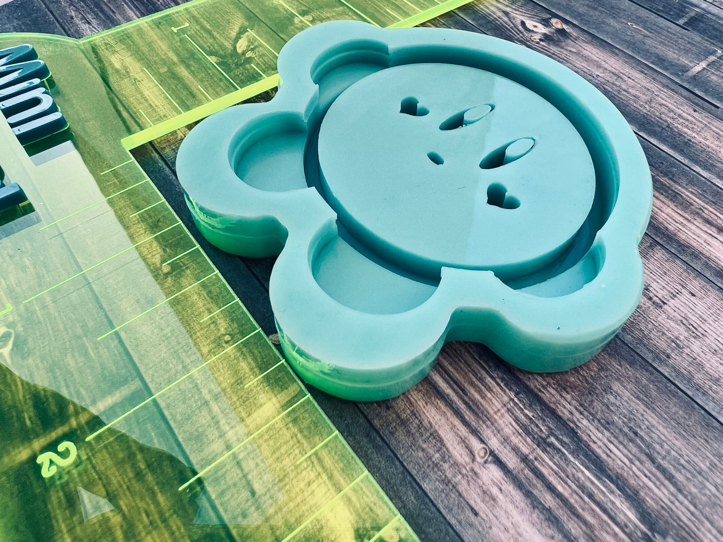 Shaker mold 2.5 inch cute circle character